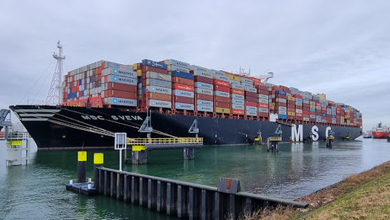 Landtong De Punt, Rozenburg