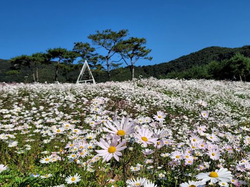 Okjeongho Gujeolcho Theme Park