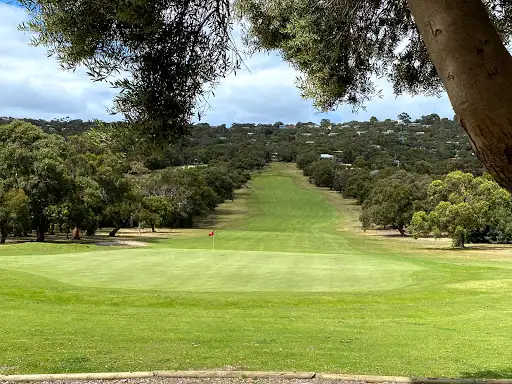 Anglesea Mini Golf