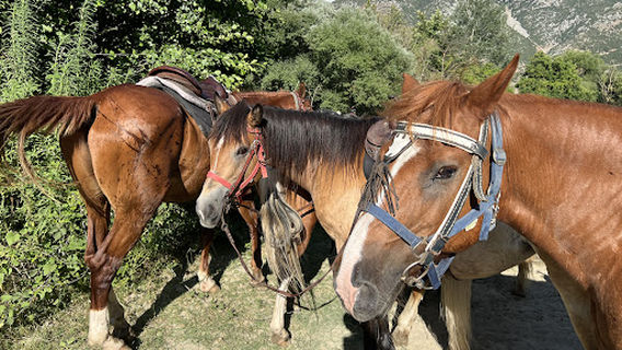 Riverdream Club Αχέροντας