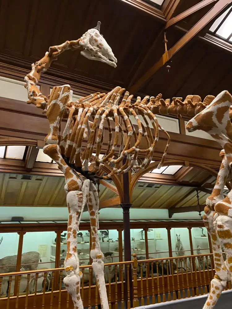 Hotel dekat Otago Museum