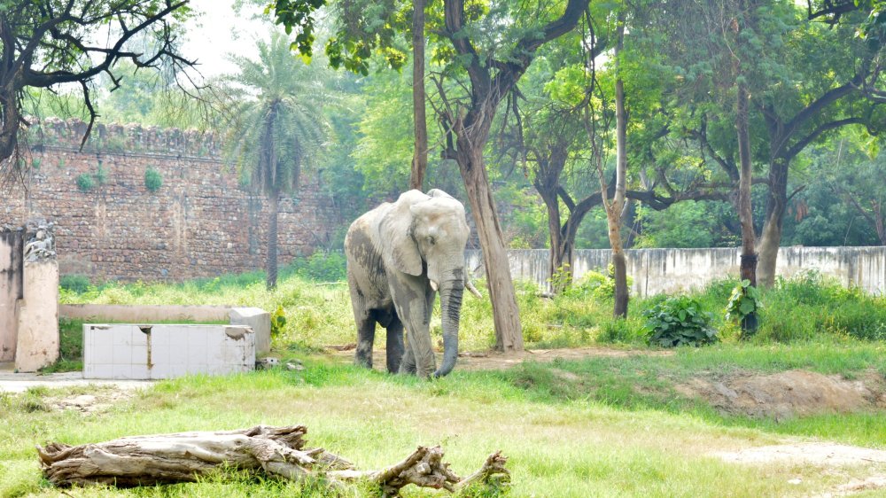 Popular Family-friendly Attractions in New Delhi