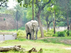 Attrazioni per Famiglie​ a Delhi: le opzioni più popolari