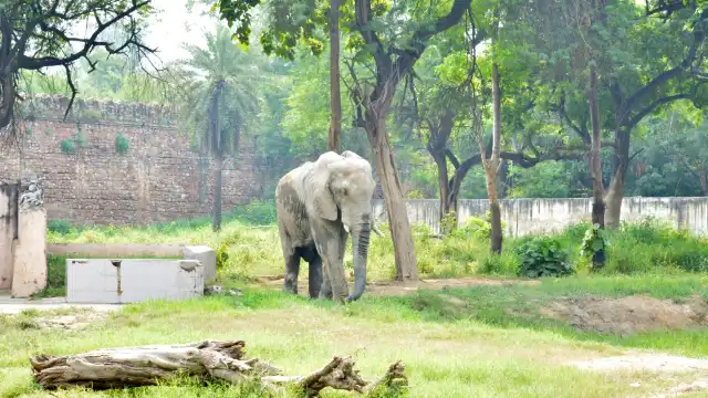 德里動物園附近的飯店