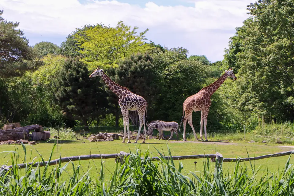 3_ライプチヒ動物園