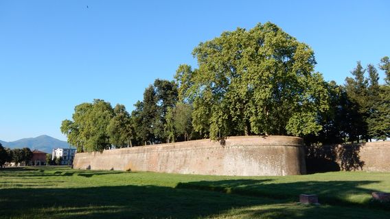 Lucca