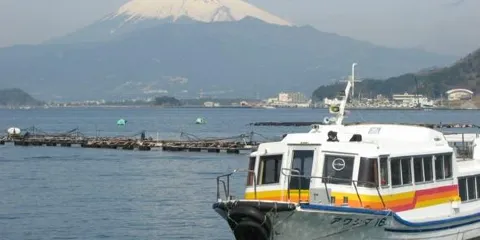 淡島海洋公園