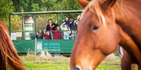 Gressenhall Farm and Workhouse