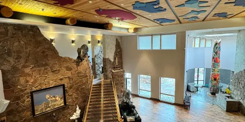 野生動物藝術國家博物館