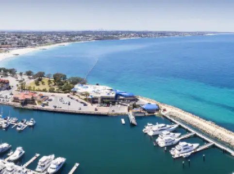 The Aquarium Of Western Australia