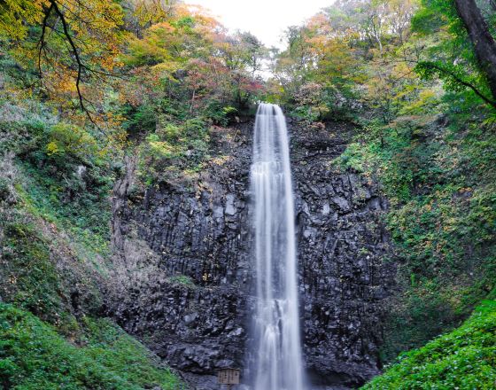 酒田市 自由行套票