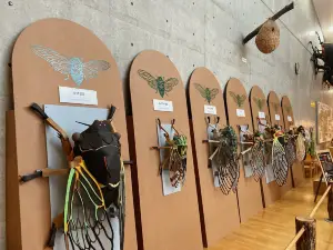 Gunma Insect World
