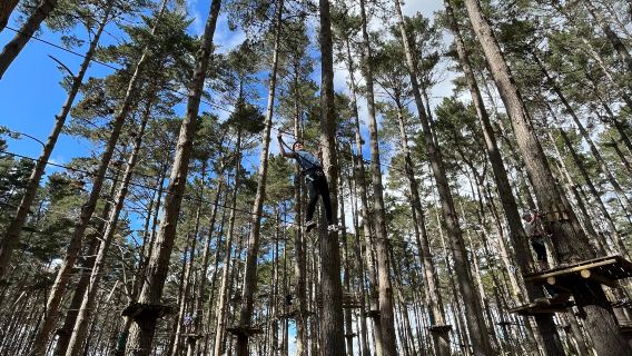 Tree Adventures