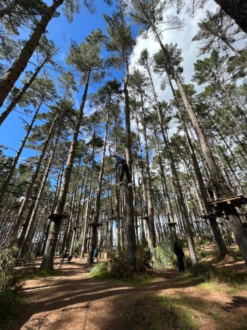 Tree Adventures