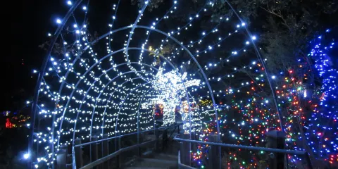 EmilyAnn Theatre & Gardens