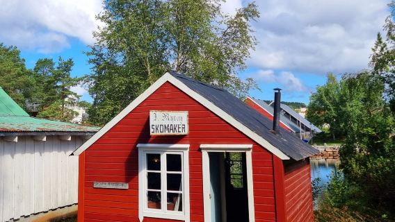 Sunnmøre Museum
