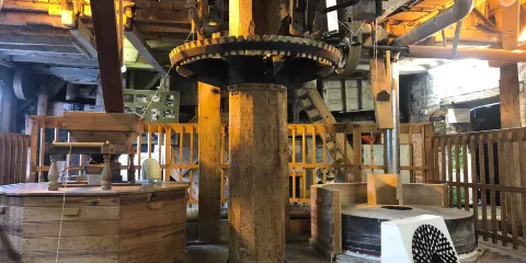 Mill Green Museum and Mill