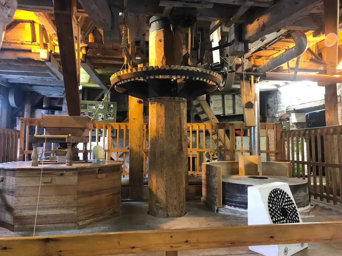 Hotels near Mill Green Museum and Watermill