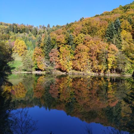 Arboretum of Aubonne