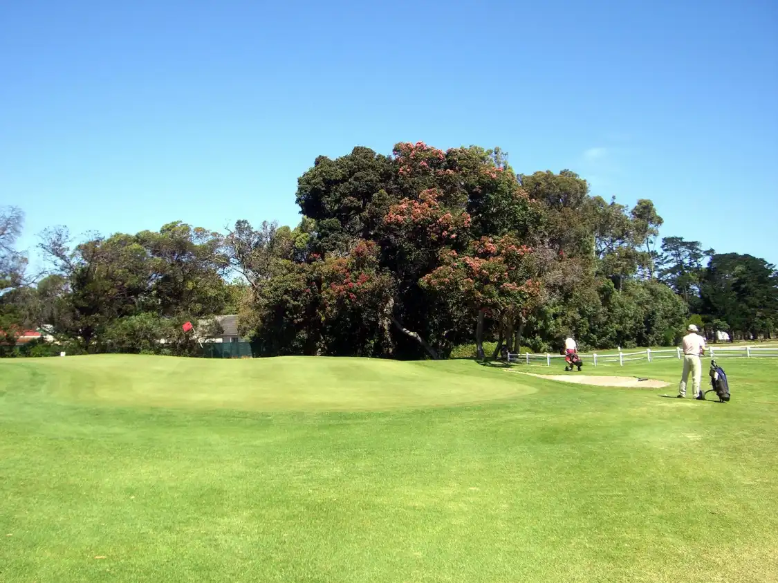 Hotel in zona Royal Cape Golf Club