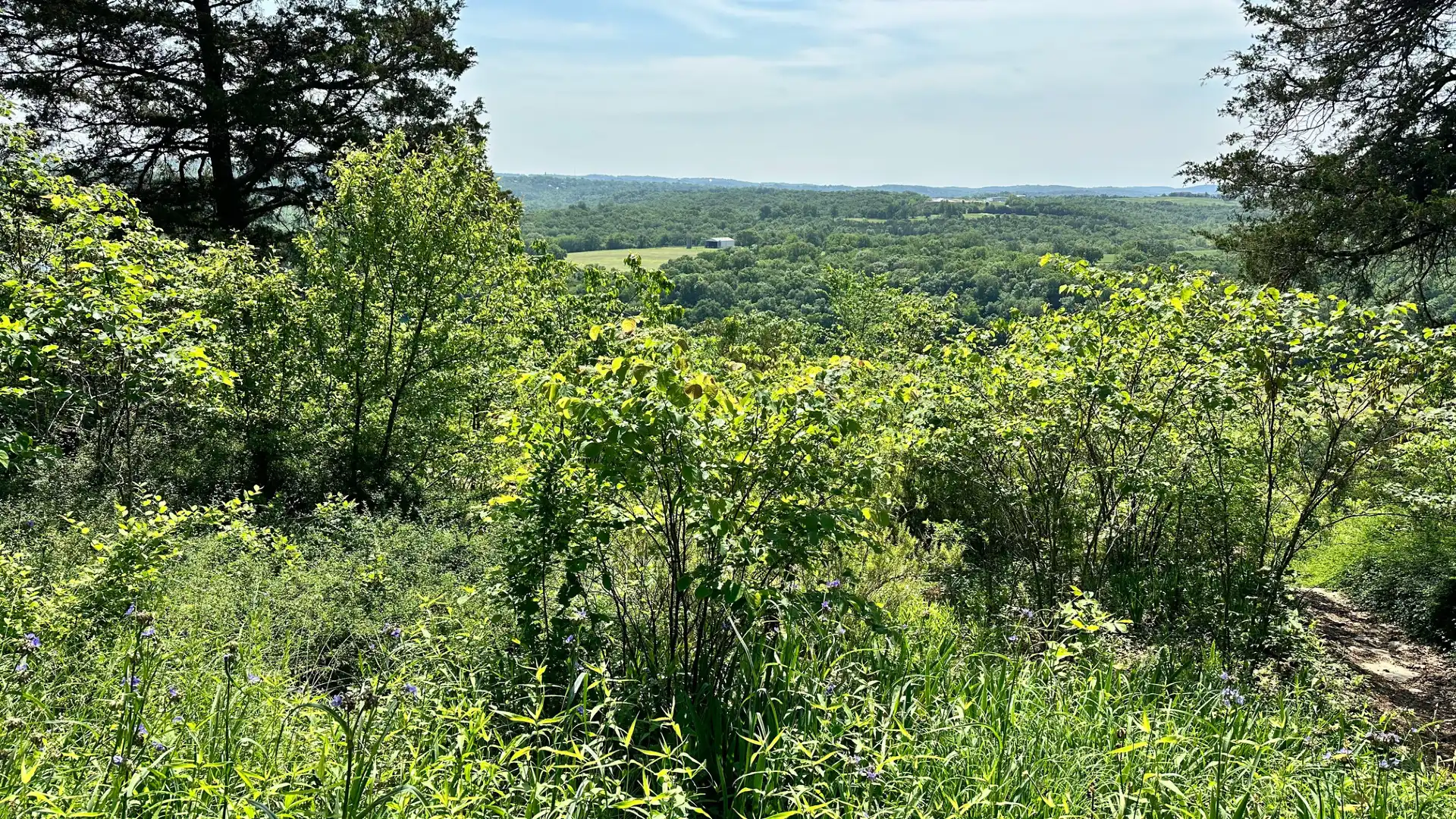 Hotels near Lakeside Forest Wilderness Area