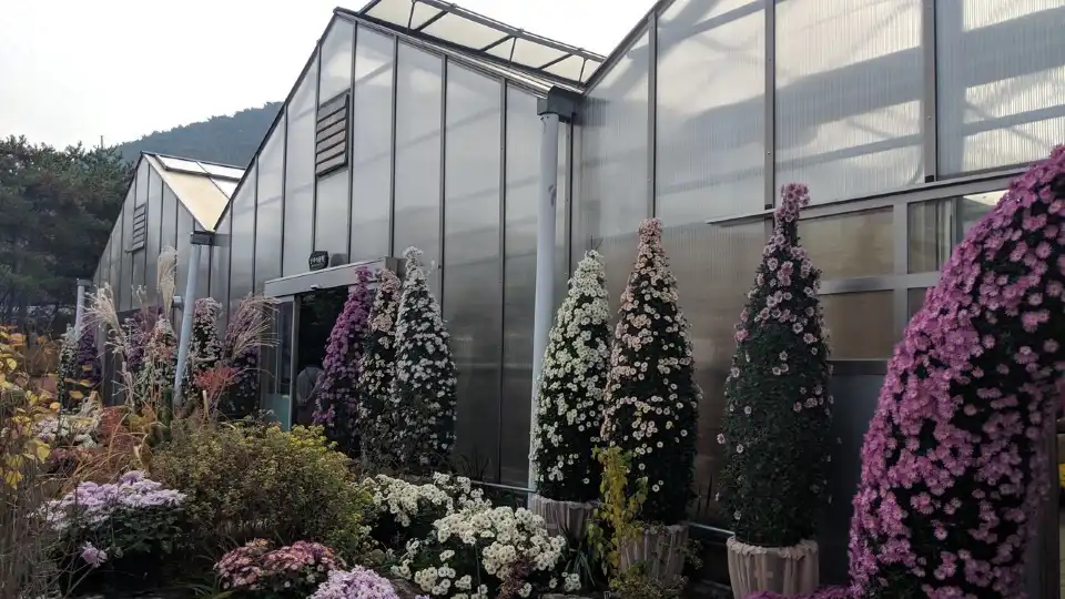 4_Daegu Arboretum