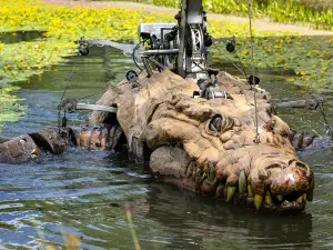 The Animal Place - Le Crocodile