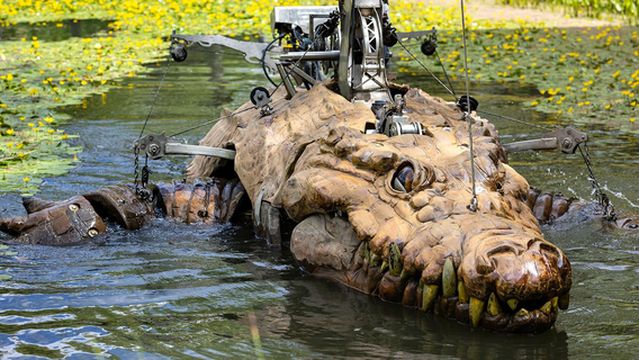 The Animal Place - Le Crocodile