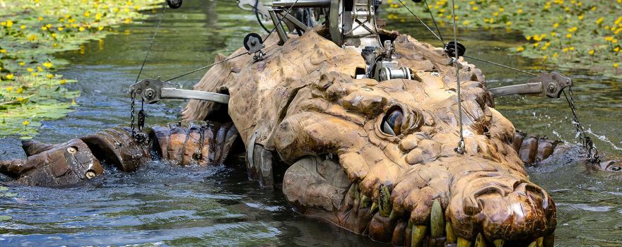 The Animal Place - Le Crocodile