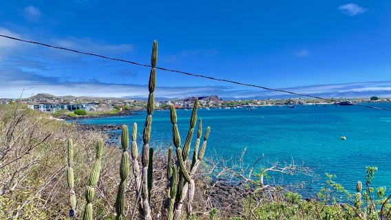 Point Carola Beach