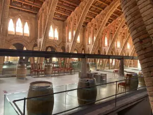 La Catedral del Vi