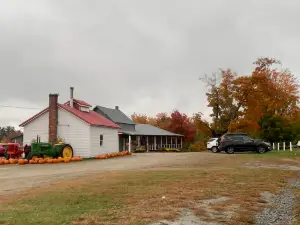 Carter Hill Orchard