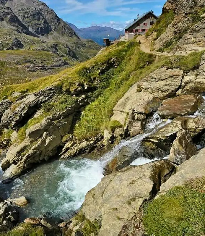 Valfurva