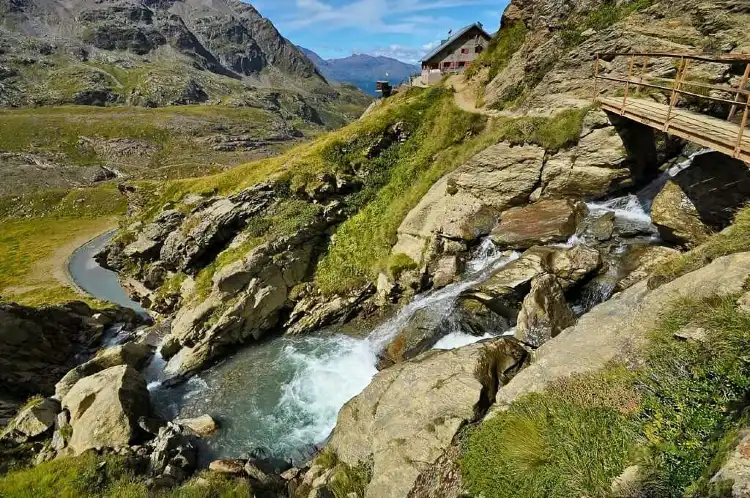 Valfurva