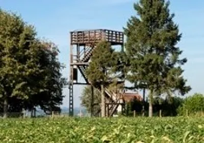 Kruishoutem