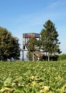 Hotels in Кройсхаутем