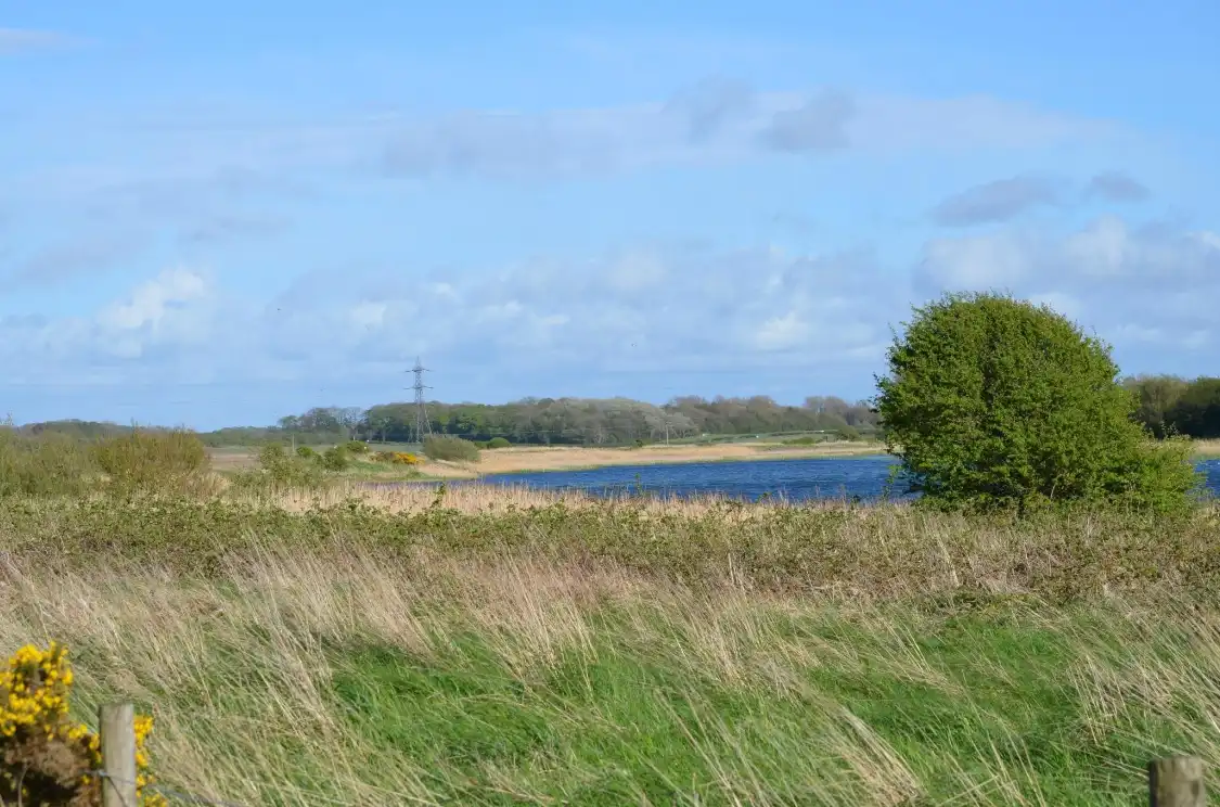 Hotels near Marton Mere Local Nature Reserve