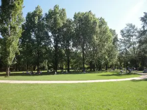 Paseo Arcoiris
