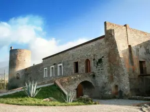 Museo del Cedro
