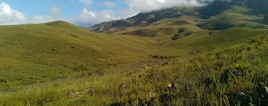 Greyton