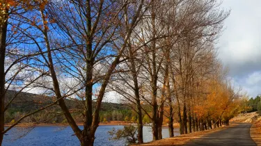 Ifrane Province