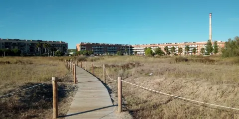 Playa de Les Gavines