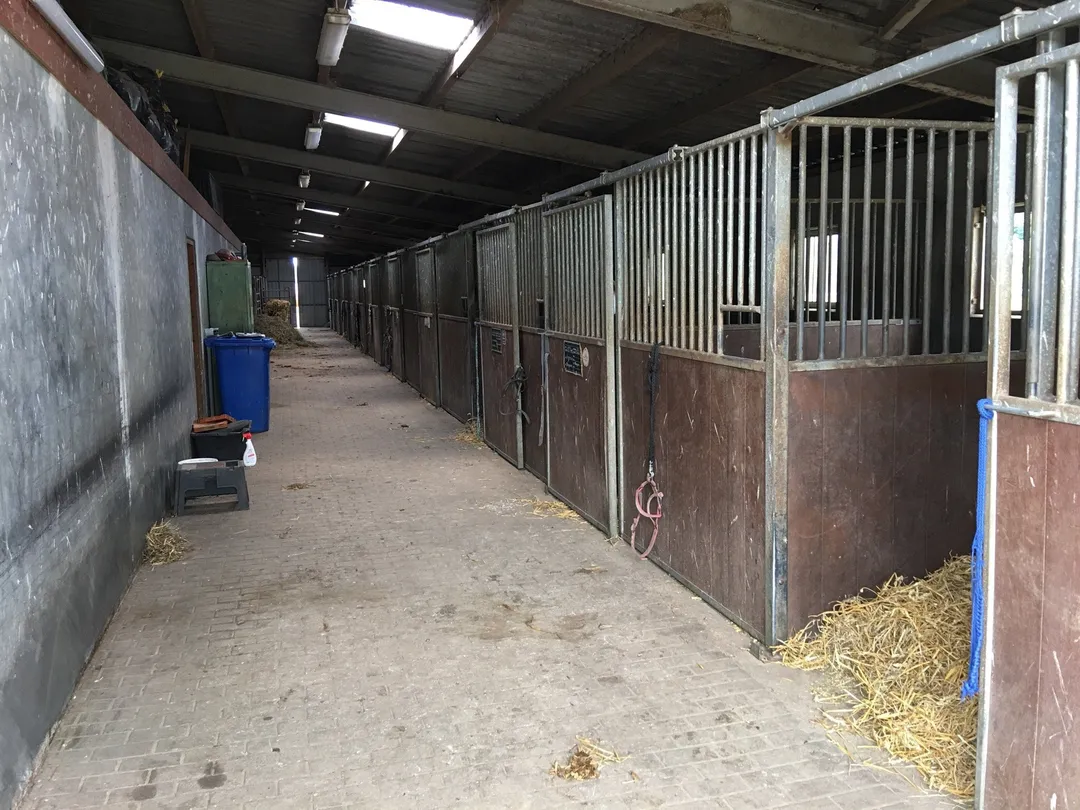 1_Malchower Reiterhof