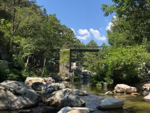 Parc Aventure Ghisoni