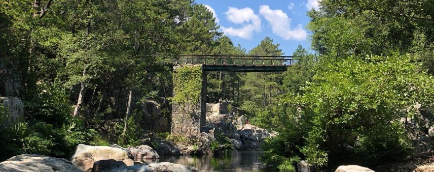 Ghisoni Adventure Park - Indian Forest Park