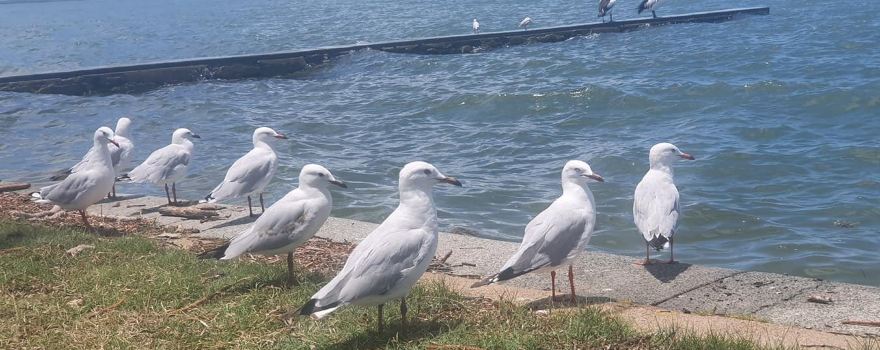 Breakwater Park