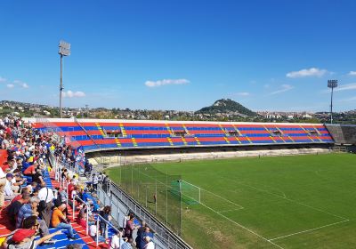 Antonio Molinari Avicor Stadium