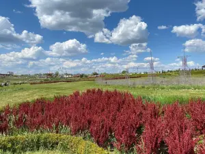 Dobropark