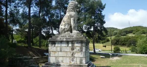Orfano