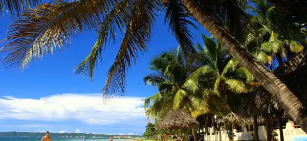 Hotels in Diana